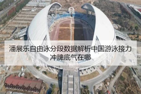 潘展乐自由泳分段数据解析中国游泳接力冲牌底气在哪