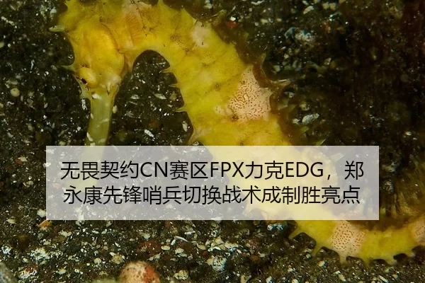 wu-wei-qi-yue-sai-qu-li-ke-zheng-yong-kang-xian-feng-shao-bing-qie-huan-zhan-shu-cheng-zhi-sheng-liang-dian-2-391.jpg